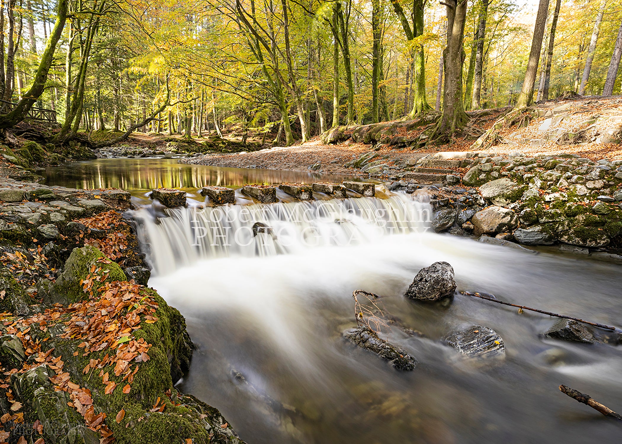 Stepping Stones, Tollymore Forest, Co. Down