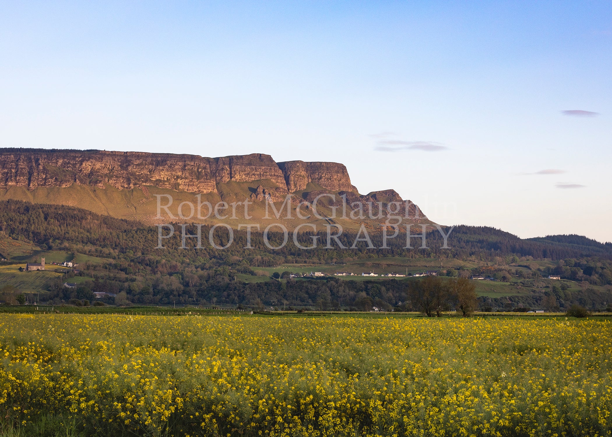 Fields of Gold, Binevenagh, Co. Derry/Londondery