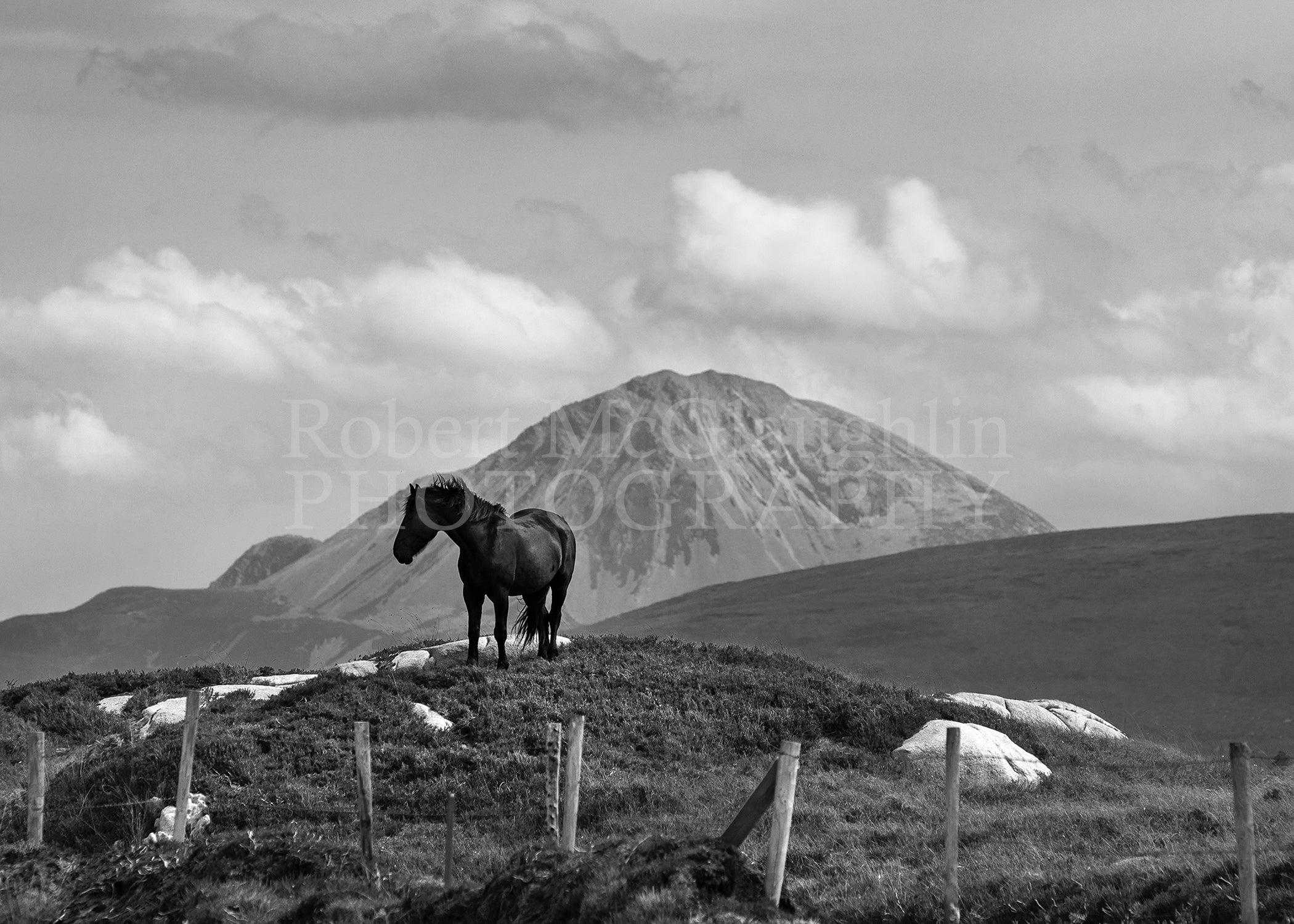 Black Beauty, Co. Donegal