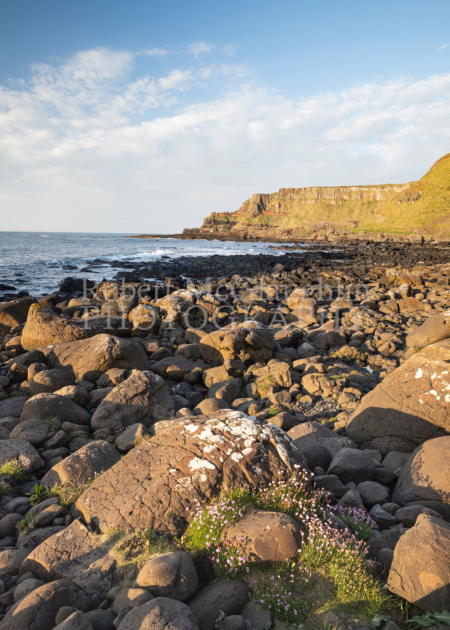 Spring Sunshine at the Giants Causeway, Co. Antrim (Portrait)