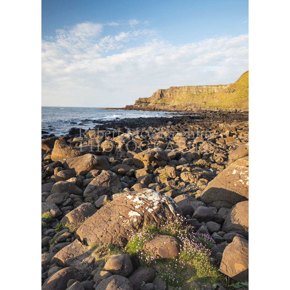 Spring Sunshine at the Giants Causeway, Co. Antrim (Portrait)