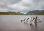Glenveagh National Park, Co. Donegal