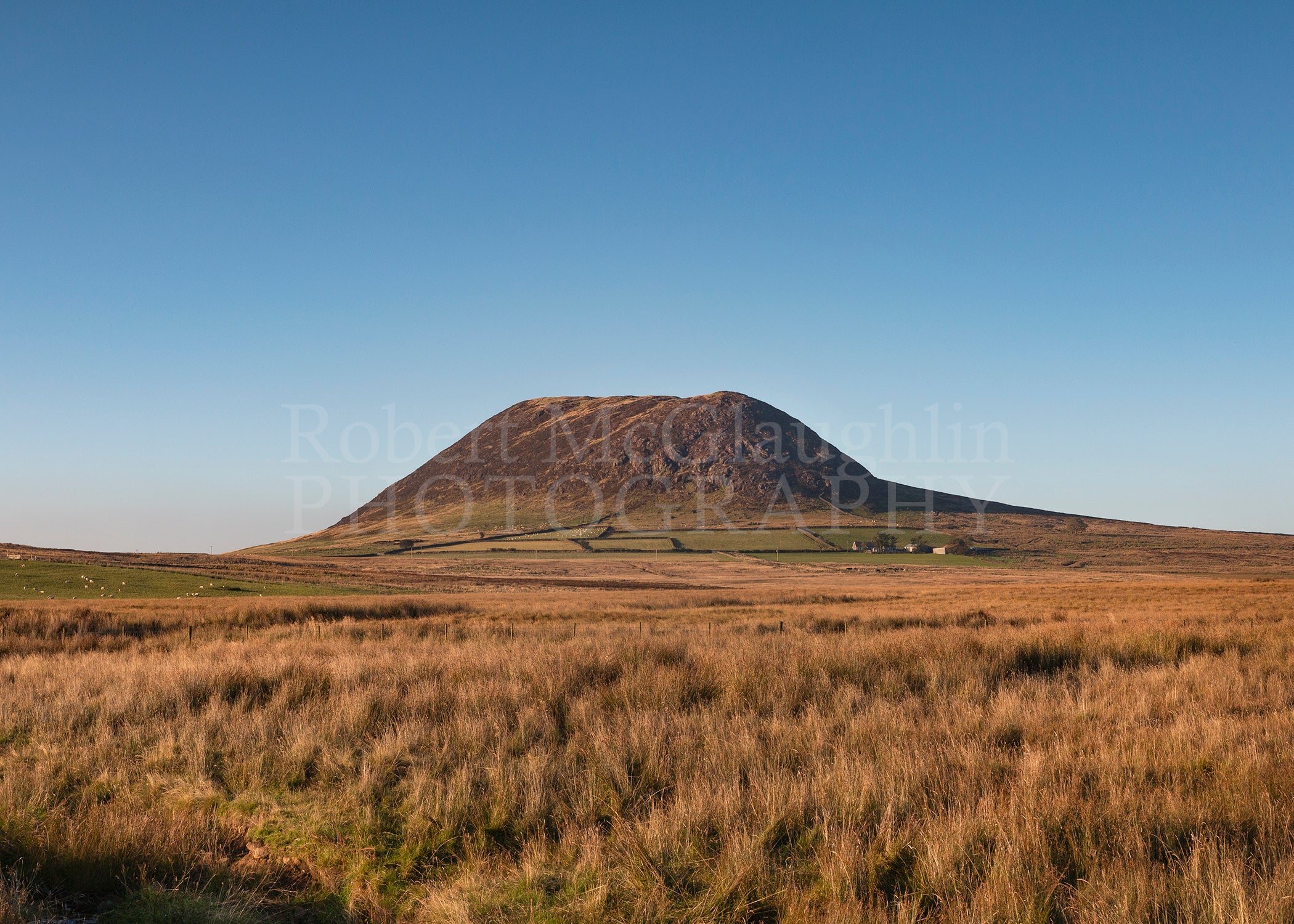 Slemish in Late Summer , Co. Antrim